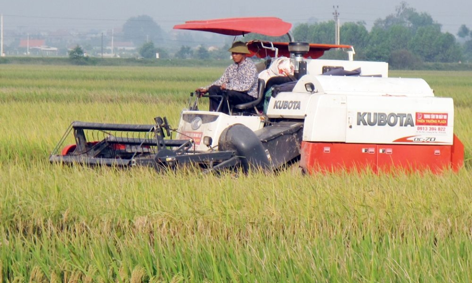 Rộn ràng ngày mùa