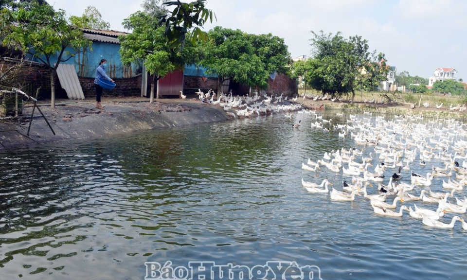 Phát triển hội viên nông dân ở thị xã Mỹ Hào