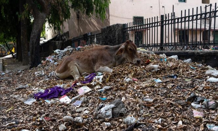 Các bãi rác là nguồn 'siêu phát thải' khí methane độc hại