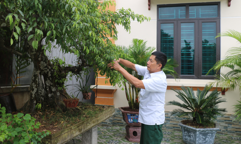 Chi hội trưởng chi hội nông dân gương mẫu