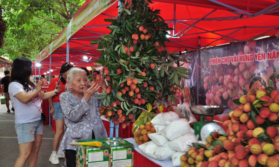 Sôi động phiên chợ vải lai chín sớm