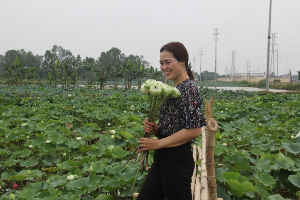 Nhiều người tranh thu lưu lại những khoảnh khắc đẹp bên hoa sen