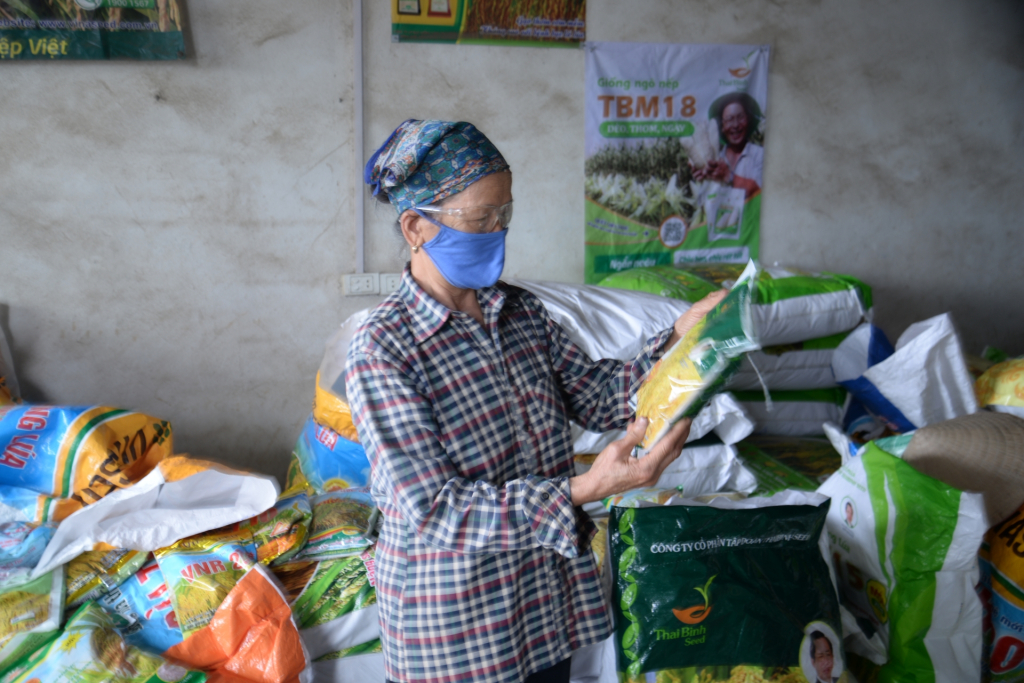 Các cửa hàng, đại lý vật tư nông nghiệp tại huyện Tiên Lữ sẵn sàng nguồn cung giống lúa cho nông dân sản xuất vụ mùa