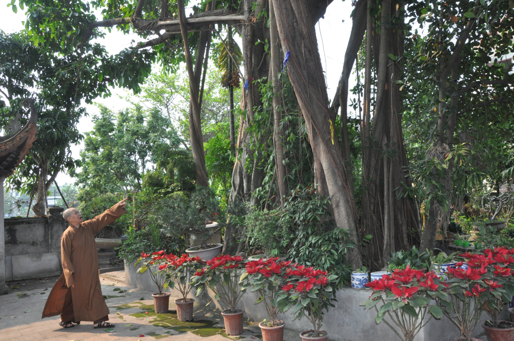 dsc,0603,16504415.jpg