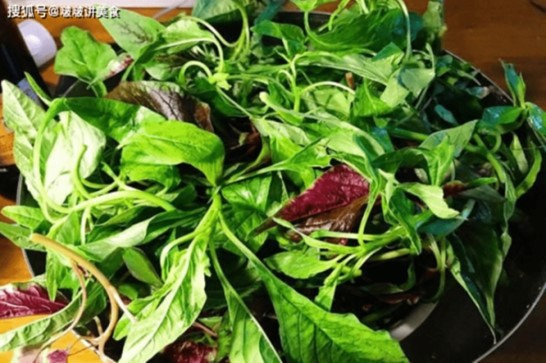 Rau dền được mệnh danh là “rau trường thọ” vì chứa nhiều chất dinh dưỡng tốt cho cơ thể (Nguồn: Sohu)