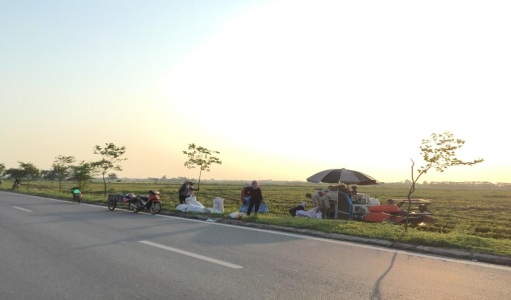 Người dân xã Vũ Xá (Kim Động) tranh thủ thu hoạch lúa bằng máy gặt 