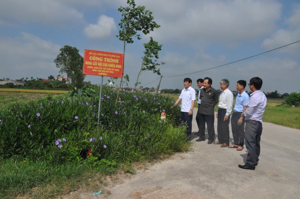 Hàng cây do Hội CCB xã Đình Cao trồng, chăm sóc