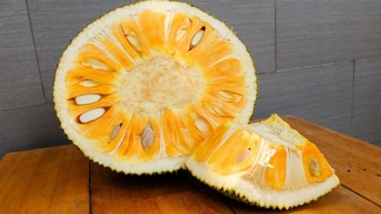 Mít có nhược điểm là rất lắm nhựa