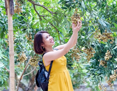 Phát triển nông nghiệp chất lượng cao gắn với du lịch sinh thái ở thành phố Hưng Yên