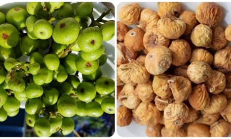 Tác dụng của quả sung khô