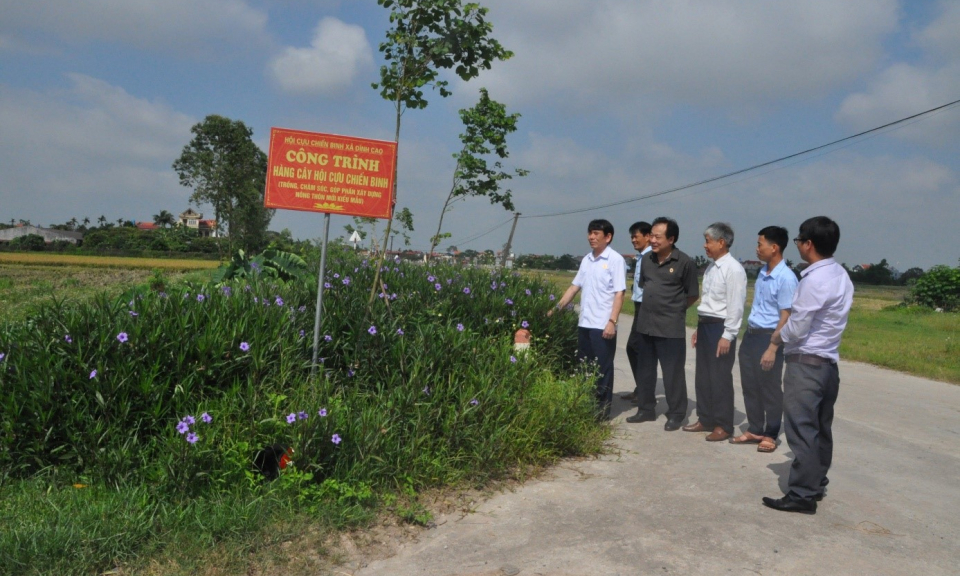 Tích cực tham gia xây dựng nông thôn mới nâng cao, nông thôn mới kiểu mẫu