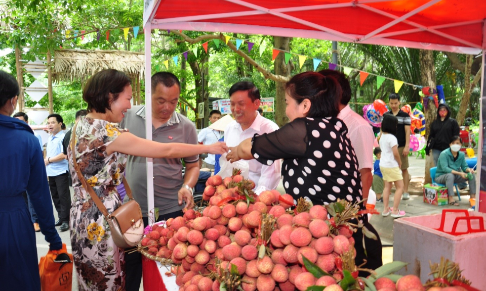 Vụ vải 2023 tiêu thụ thuận lợi, bán được giá