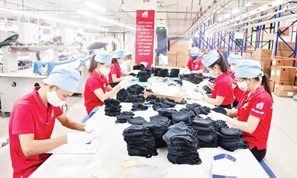 Bám sát sự phục hồi xuất khẩu dệt may
