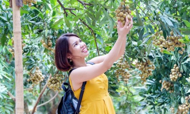 Phát triển nông nghiệp chất lượng cao gắn với du lịch sinh thái ở thành phố Hưng Yên