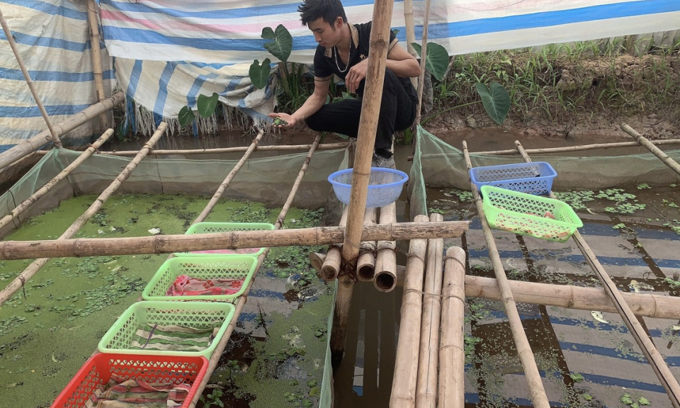 Chuyển đổi xanh trong nuôi thả thủy sản