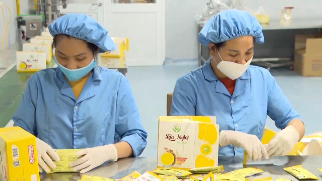 Kiểm tra, đóng gói sản phẩm sữa nghệ tại Công ty TNHH Hoàng Minh Châu Hưng Yên (Khoái Châu) 