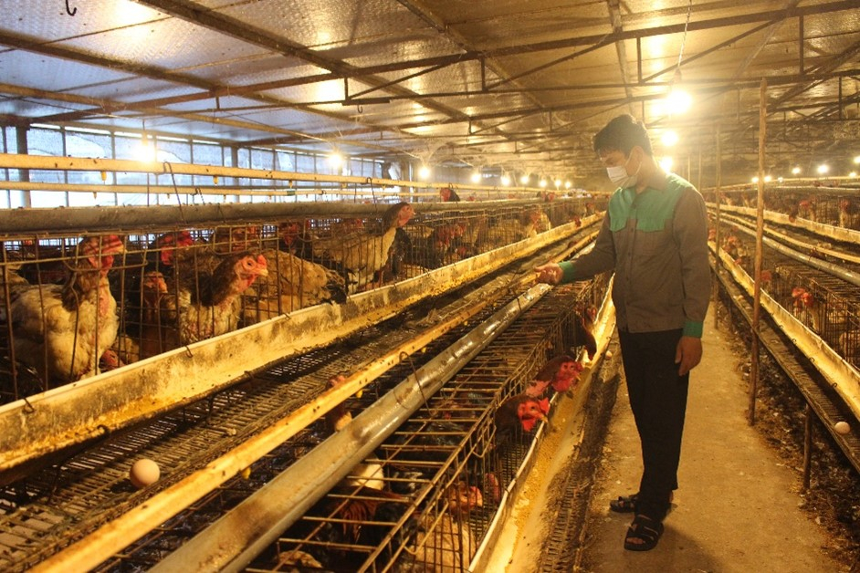 Chia sẻ 70 về mô hình kinh doanh trang trại hay nhất  Tin học Đông Hòa