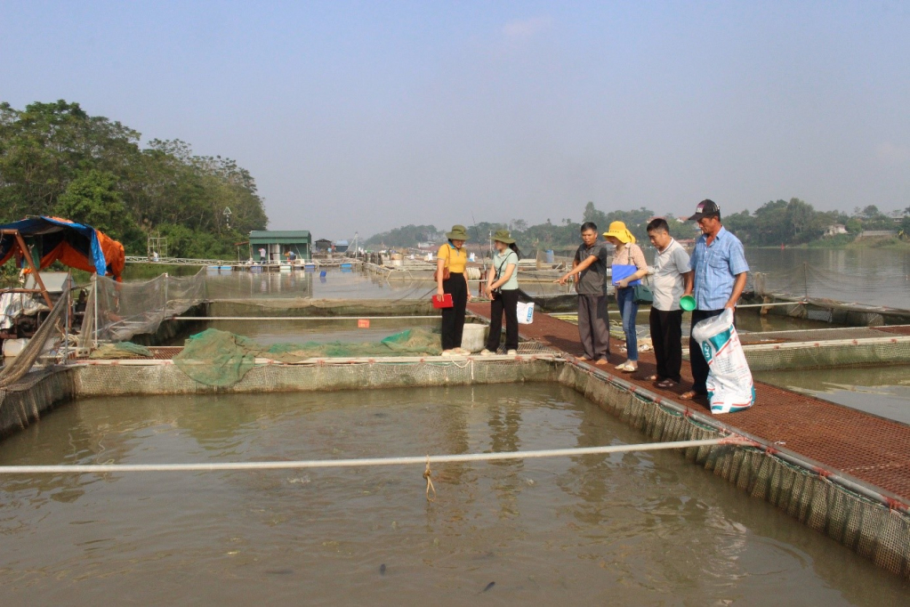 Nuôi cá lồng trên sông cho hiệu quả kinh tế cao tại xã Tân Hưng (thành phố Hưng Yên)