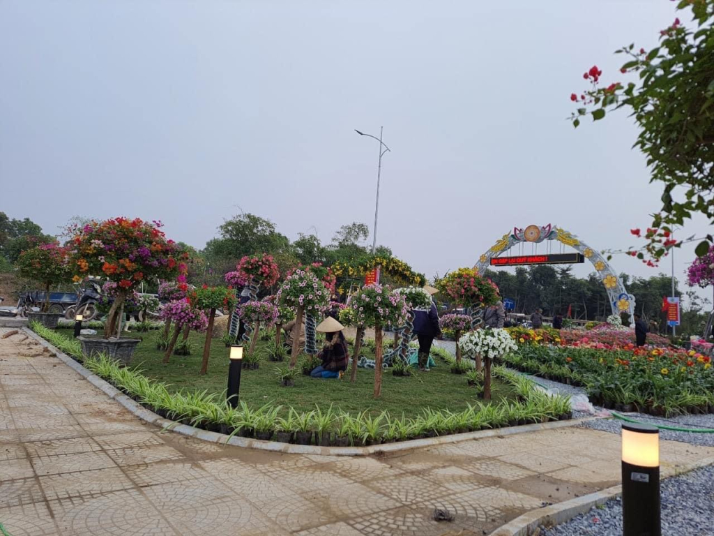 Các nhà vườn trên địa bàn xã Xuân Quan (Văn Giang) trang trí khu vực tổ chức lễ hội hoa năm 2023