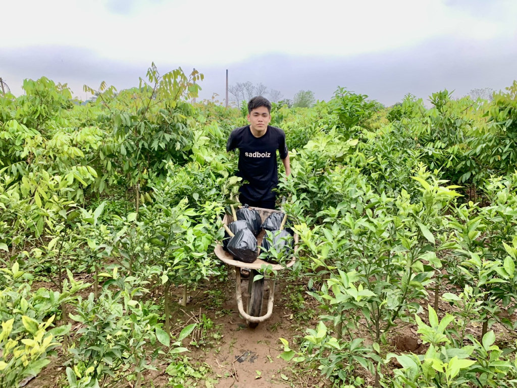 Nông dân xã Tân Châu xuất bán cây giống