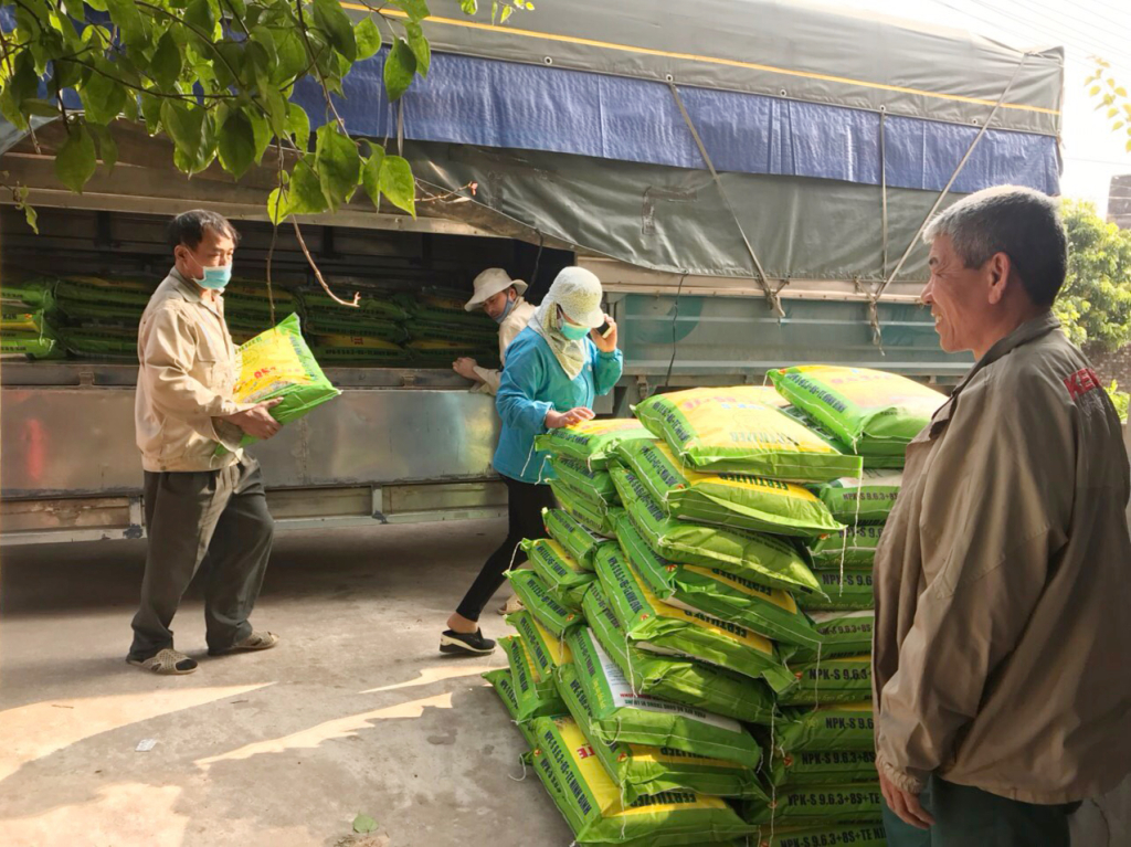 Nông dân huyện Khoái Châu được hưởng lợi từ chương trình cung ứng phân bón trả chậm