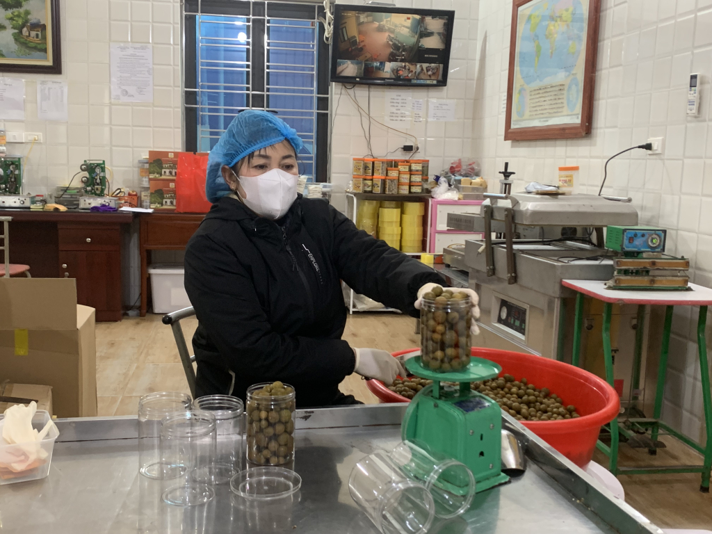 Sấu tươi giòn là sản phẩm OCOP 3 sao của hộ kinh doanh Quyền Lưu, xã Phương Chiểu (thành phố Hưng Yên)