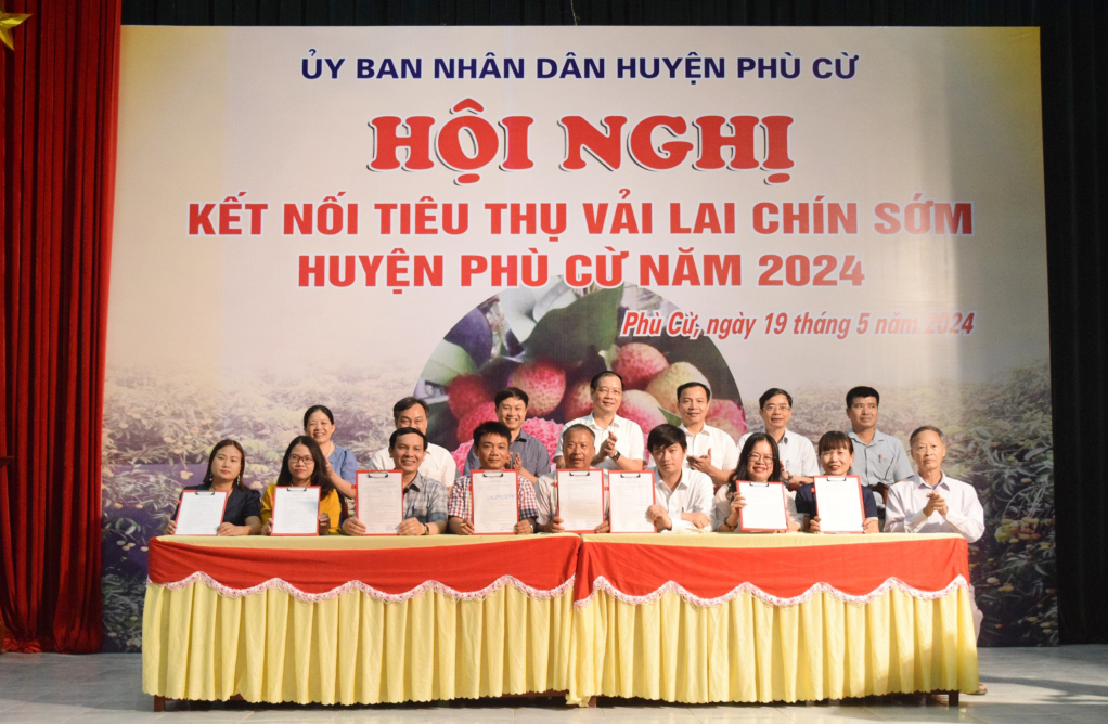 Ký biên bản hợp tác tiêu thụ vải lai chín sớm Phù Cừ