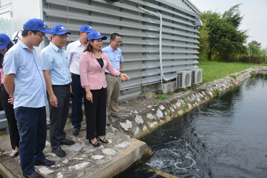 Khảo sát thực tế công trình xử lý nước thải ở KCN Thăng Long II