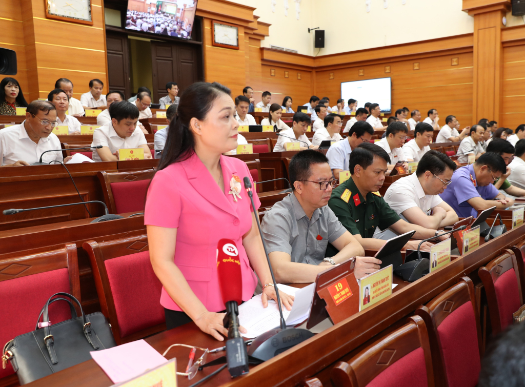 Đại biểu Nguyễn Thị Thanh Tuyết chất vấn lãnh đạo Sở Kế hoạch và Đầu tư tại kỳ họp