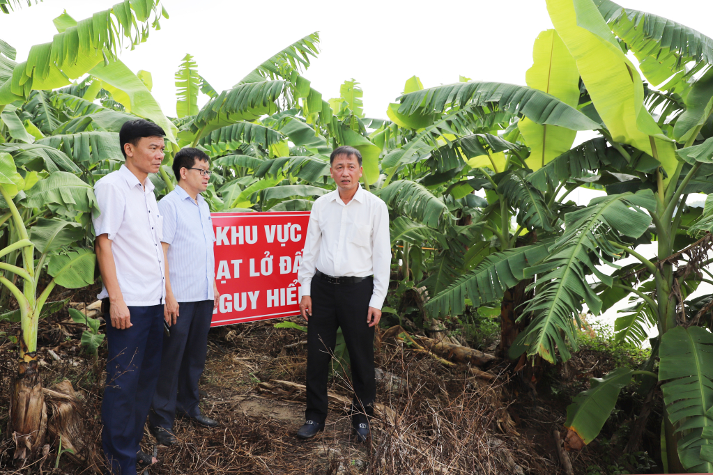 Đồng chí Nguyễn Hùng Nam, Phó Chủ tịch UBND tỉnh kiểm tra vị trí sạt lở kè Phú Mỹ