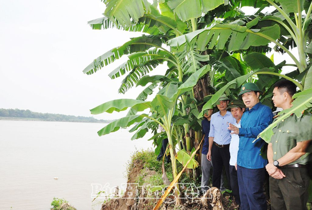 Đồng chí Trần Quốc Toản, Phó Bí thư Thường trực Tỉnh ủy, Chủ tịch HĐND tỉnh kiểm tra sự cố sạt lở kè Phú Mỹ, xã Đức Hợp (Kim Động)