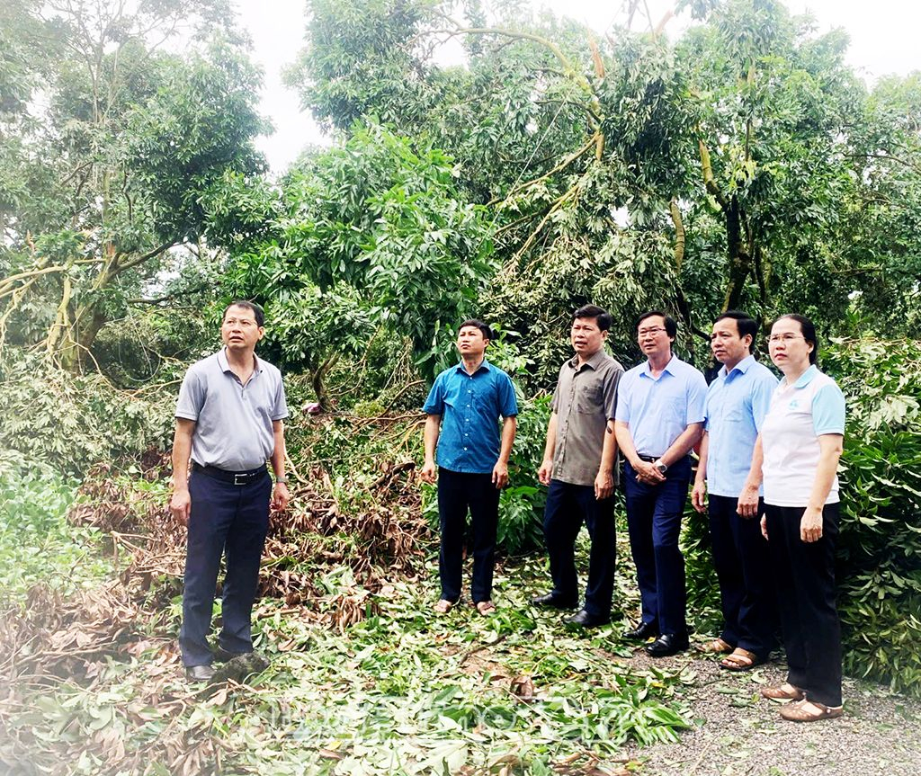 Đồng chí Trần Quốc Toản, Phó Bí thư Thường trực Tỉnh ủy, Chủ tịch HĐND tỉnh đi kiểm tra công tác khắc phục hậu quả sau bão số 3 tại huyện Phù Cừ