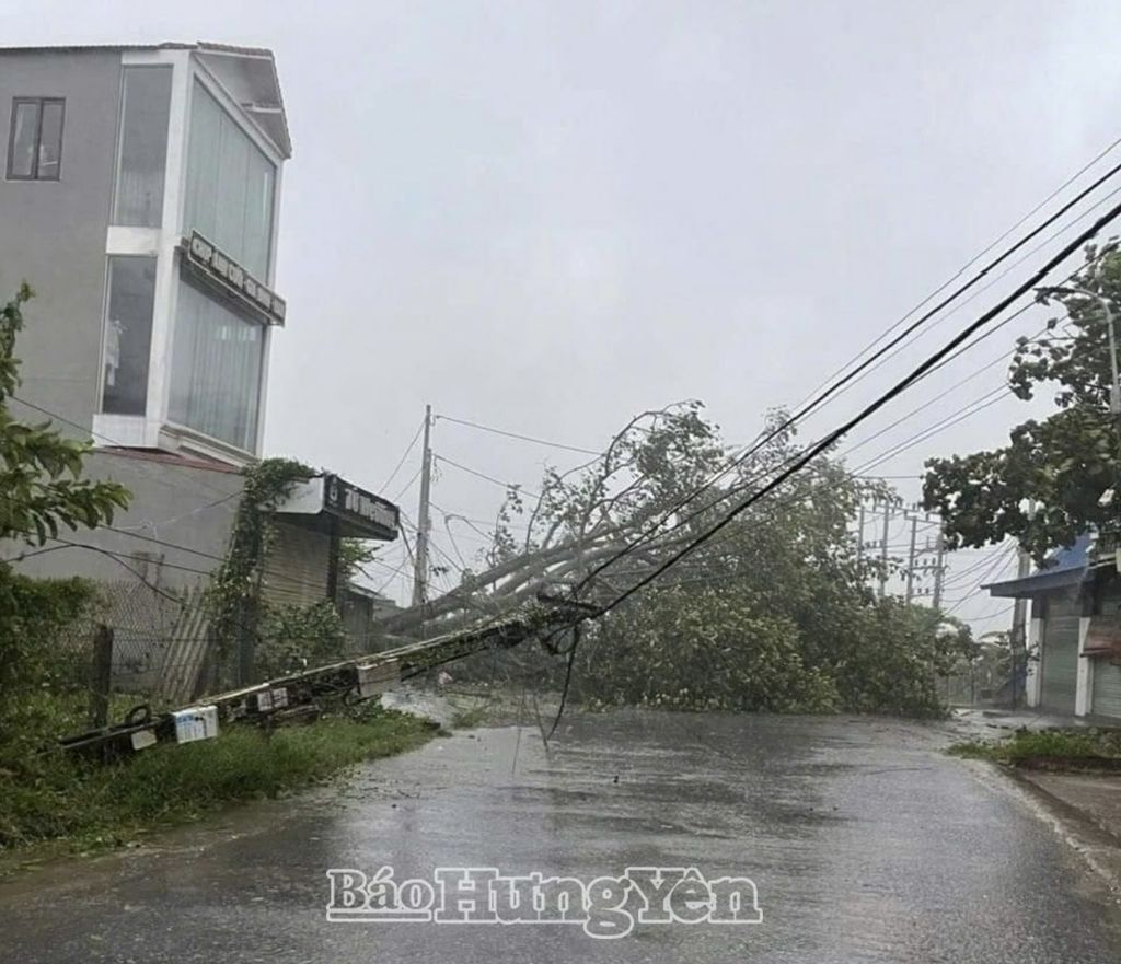  Cây, cột điện gãy đổ tại xã Hải Triều (Tiên Lữ)