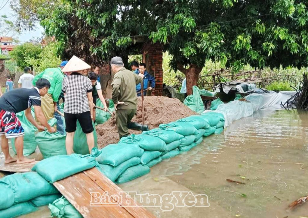 Nước sông Bắc Hưng Hải dâng cao tràn vào thôn Cao Trai, xã Bắc Sơn (Ân Thi)