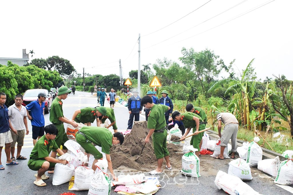 Đắp đất chống tràn tại khu vực đê bối Hạ Đồng, xã Nguyên Hòa
