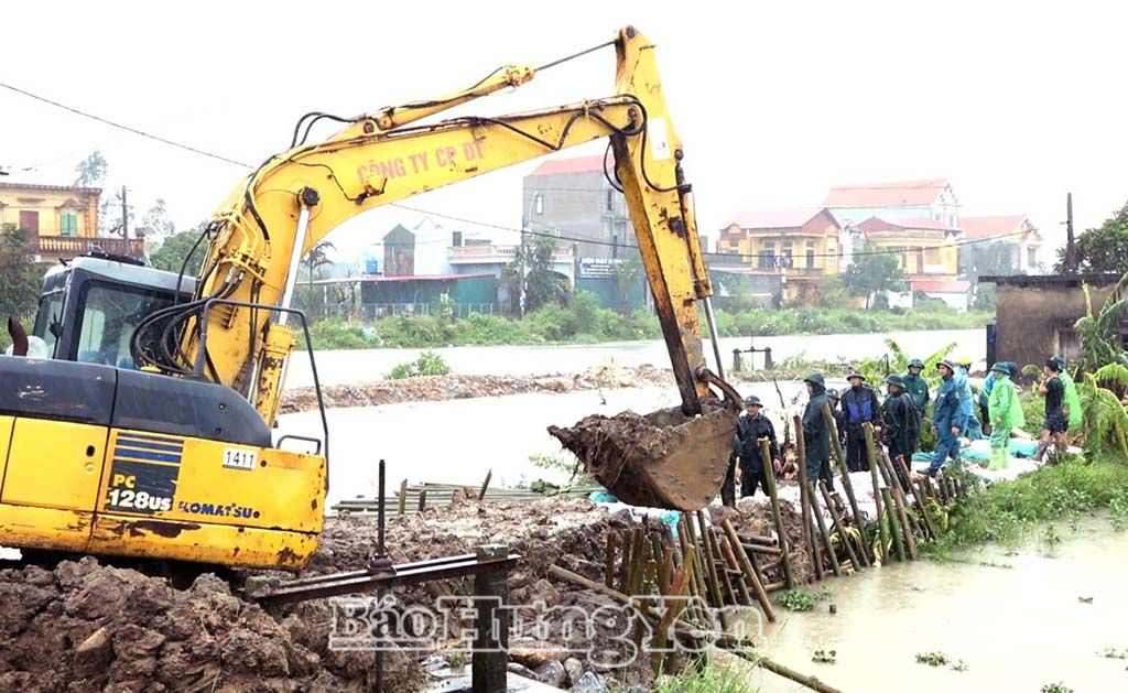 Gia cố đê sông Bần - Vũ Xá