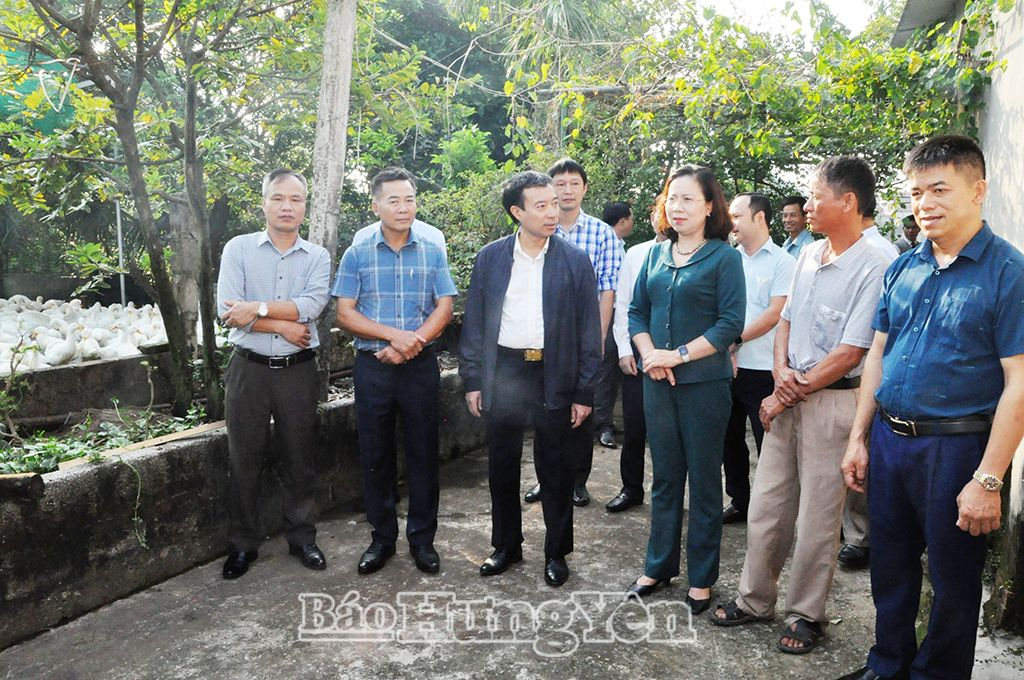  Đoàn kiểm tra của Trung ương Hội Nông dân Việt Nam đi thực tế tại Chi hội nghề nghiệp chăn nuôi xã Phạm Ngũ Lão (Kim Động)