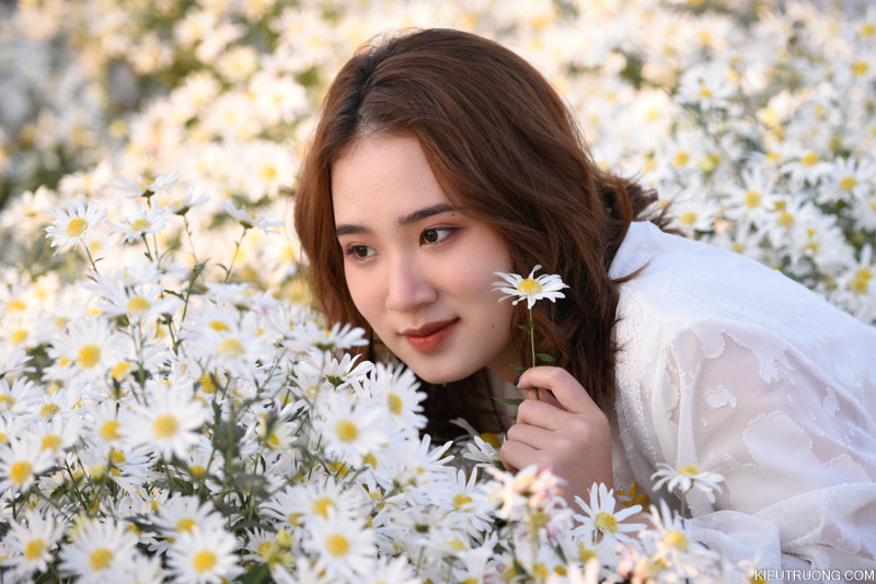 Tản văn: Cúc họa mi báo đông - Báo Hưng Yên điện tử