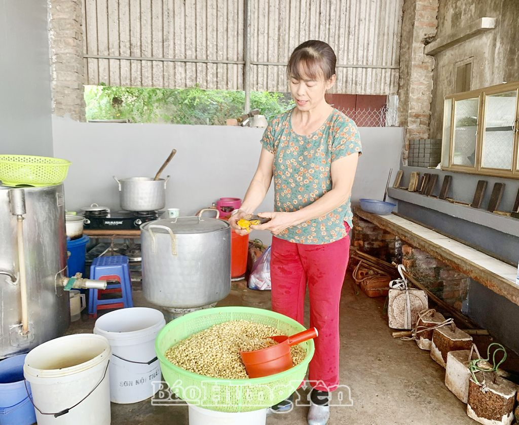 Nghệ tươi được thái lát nhỏ trộn với đỗ tương để làm đậu nghệ