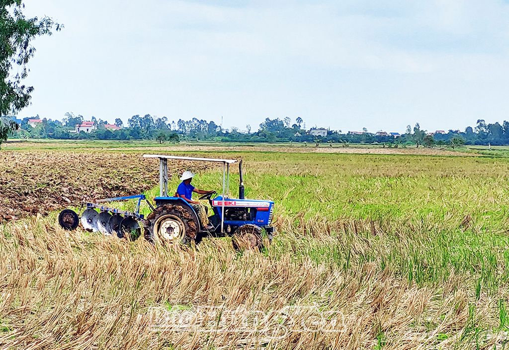 Nông dân huyện Tiên Lữ cày ải, phơi đất