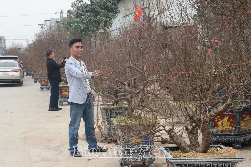 Khách hàng chọn mua đào ở thôn Ngọc Ðà, xã Tân Quang (Văn Lâm)