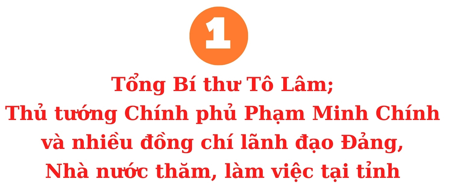 Ảnh co giãn vừa văn bản