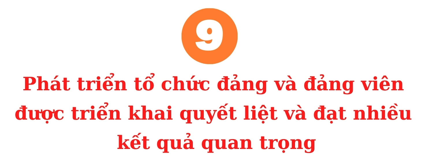 Ảnh co giãn vừa văn bản