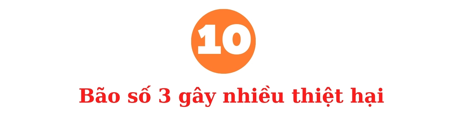 Ảnh co giãn vừa văn bản
