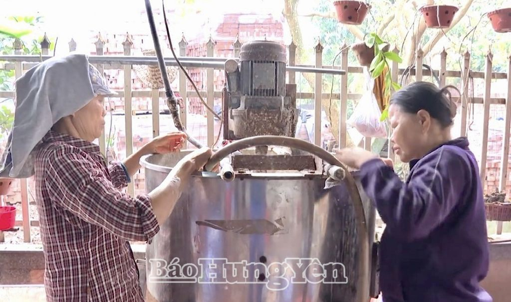 Cơ sở sản xuất bột sắn dây ở xã Tân Hưng (thành phố Hưng Yên)