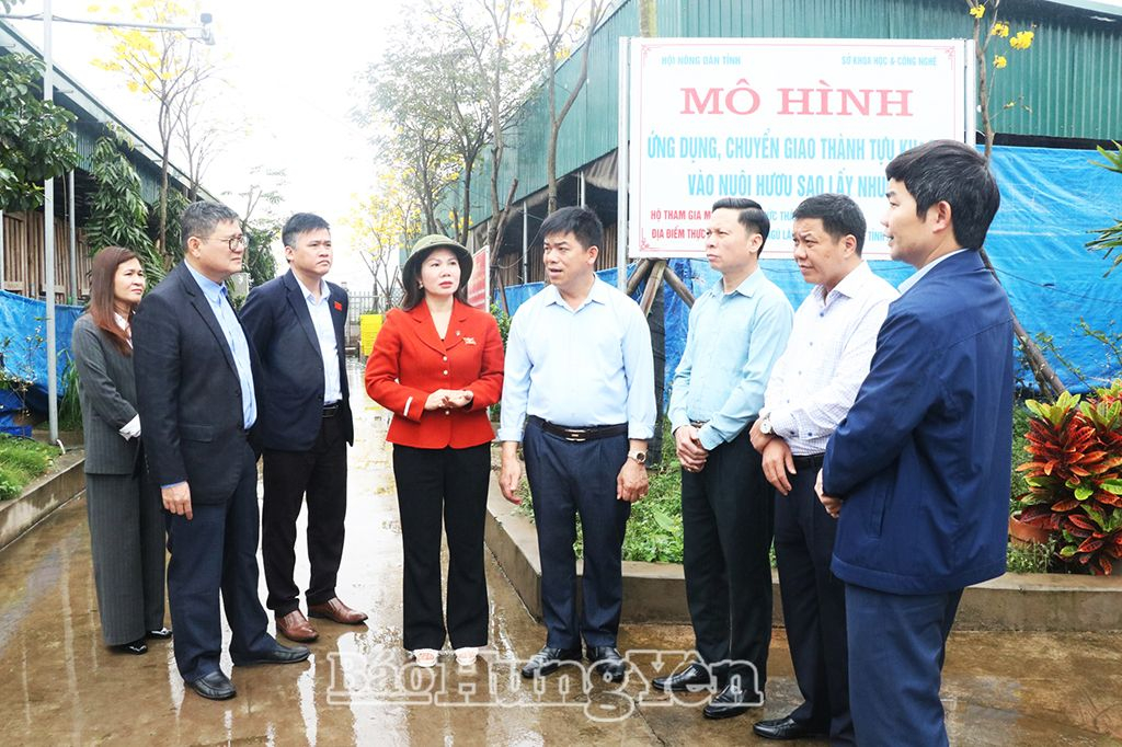 Tổ giám sát khảo sát thực tế tại mô hình trang trại nuôi hươu, xã Phạm Ngũ Lão (Kim Động)