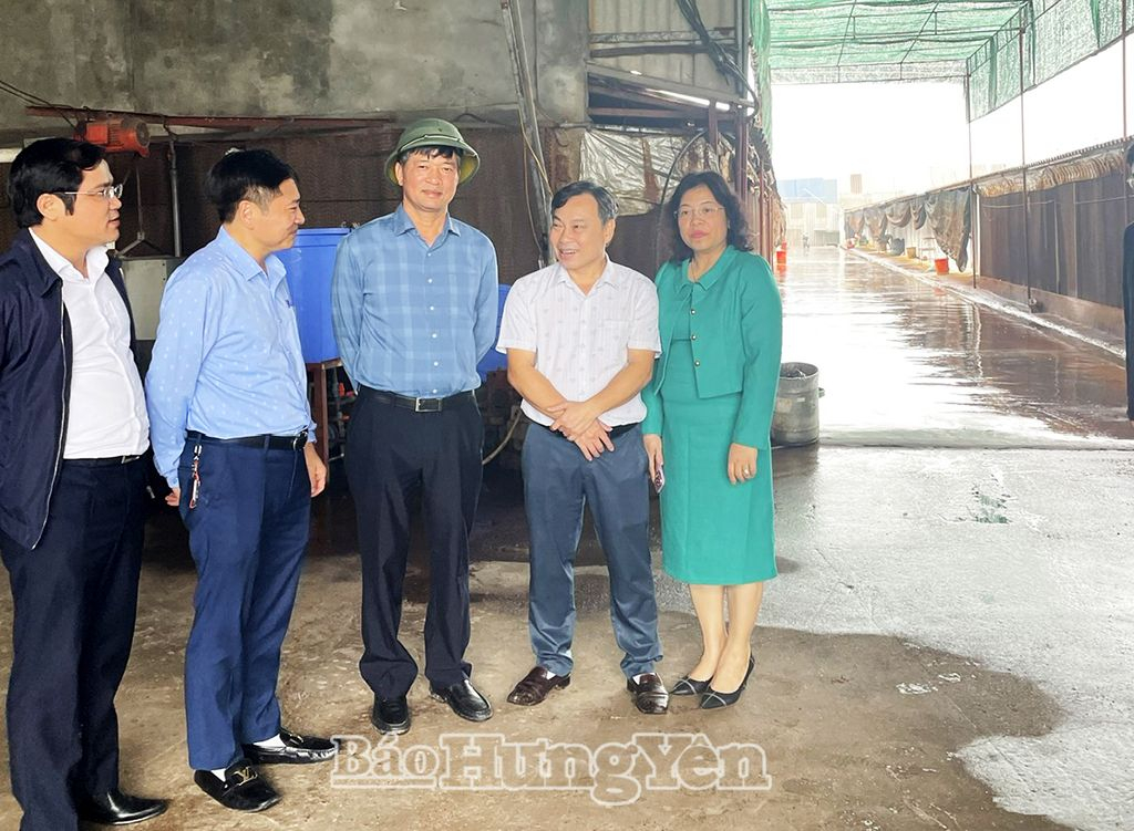  Tổ giám sát khảo sát thực tế tại mô hình trang trại nuôi gà ở xã Thiện Phiến (Tiên Lữ)