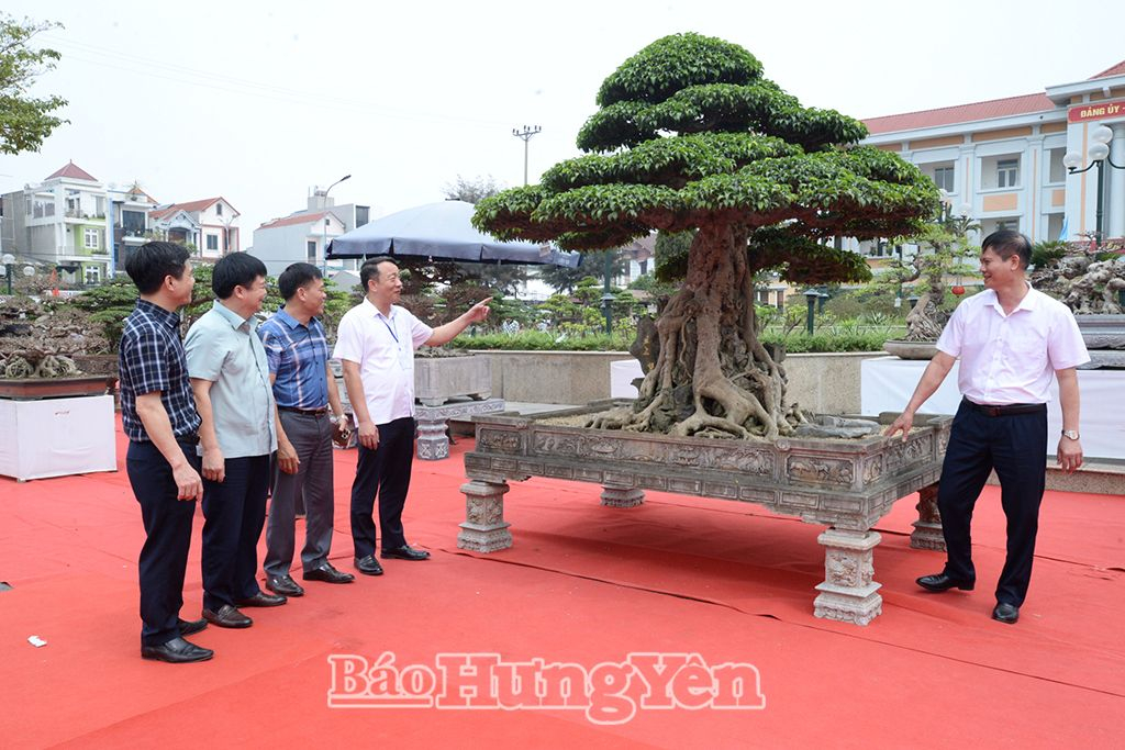 https://mediabhy.mediatech.vn/upload/image/202504/medium/84376_cac_dai_bieu_tham_quan_cay_canh_tai_trien_lam_15465319.jpg