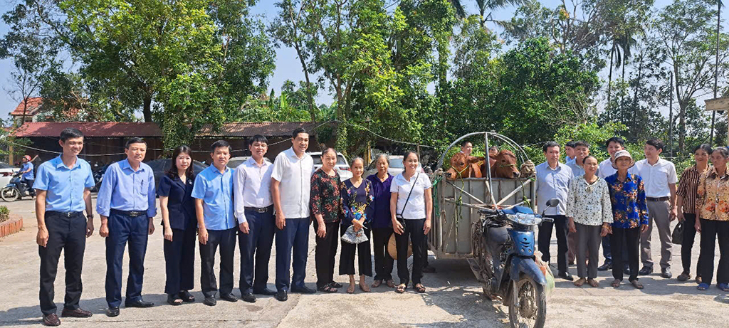  Hội Nông dân thành phố Hưng Yên hỗ trợ bò sinh sản cho hội viên nghèo 