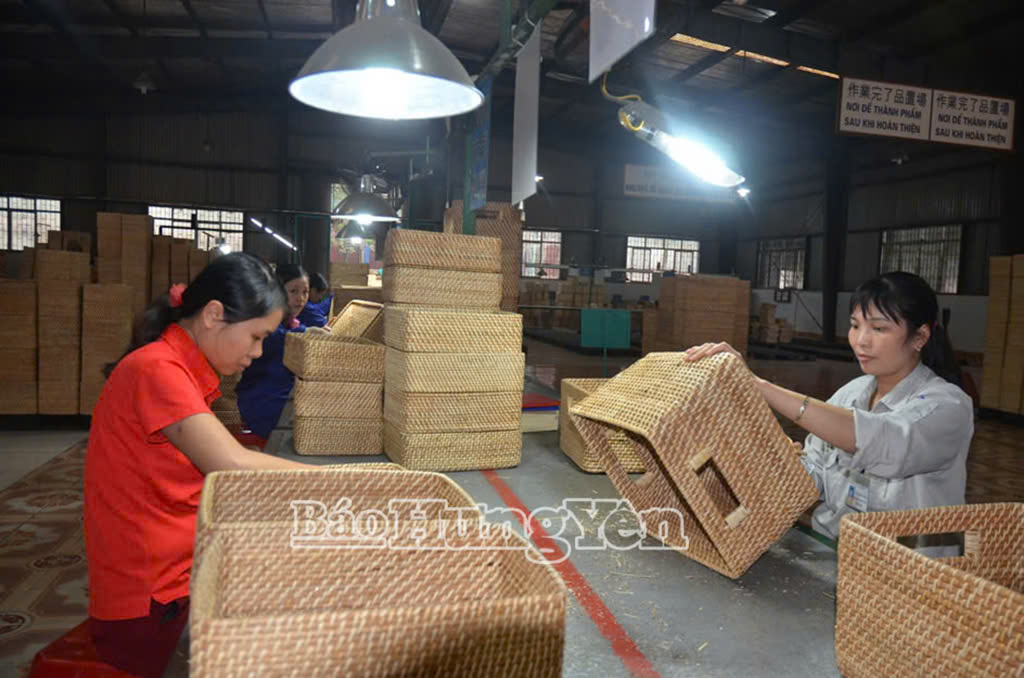 Sản xuất tại Công ty TNHH Mây tre xuất khẩu Phú Minh Hưng Yên (Yên Mỹ)